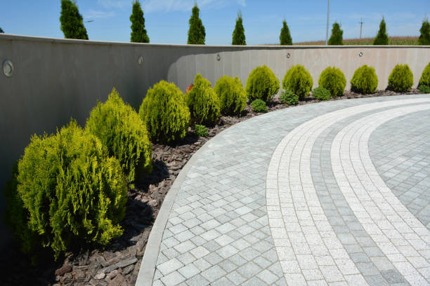 Best Driveway Pavers Near Me  in Pender, NE